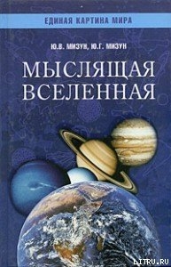 Мыслящая Вселенная — Мизун Юлия Владиславовна
