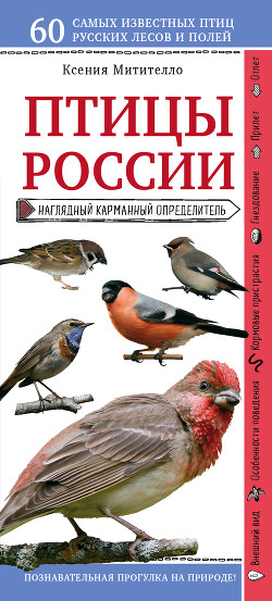 Птицы России. Наглядный карманный определитель — Митителло Ксения