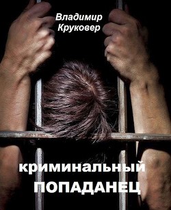 Криминальный попаданец (СИ) — Круковер Владимир Исаевич