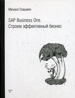SAP Business One. Строим эффективный бизнес — Елашкин Михаил Владиславович