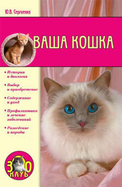 Ваша кошка — Юлия Сергеенко