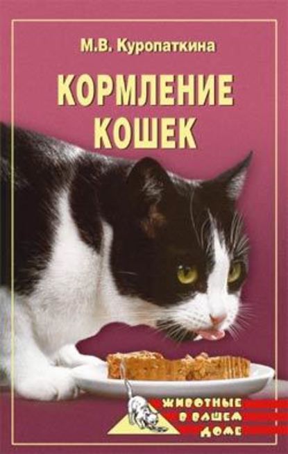 Кормление кошек - Марина Куропаткина