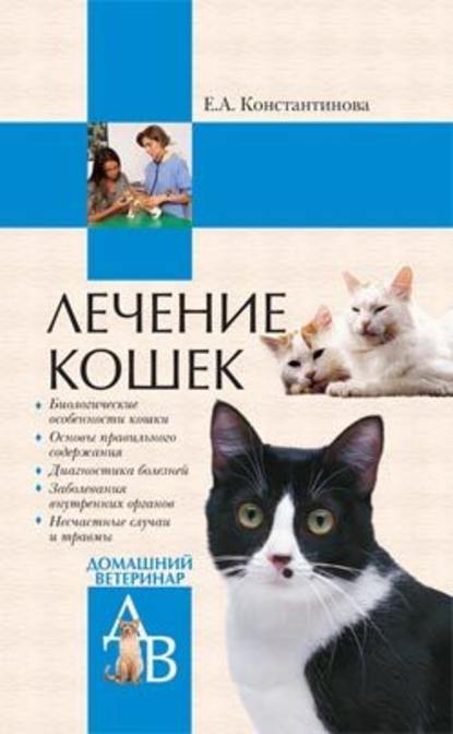 Лечение кошек — Екатерина Константинова