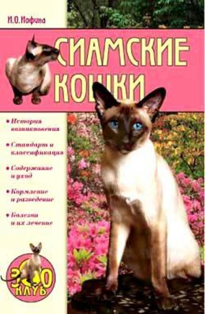 Сиамские кошки — Ирина Иофина