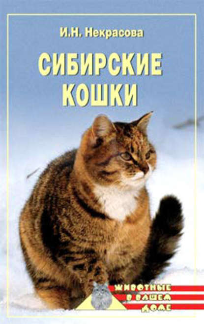 Сибирские кошки — Ирина Некрасова