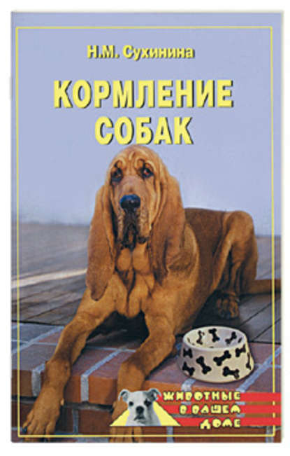 Кормление собак — Наталья Сухинина