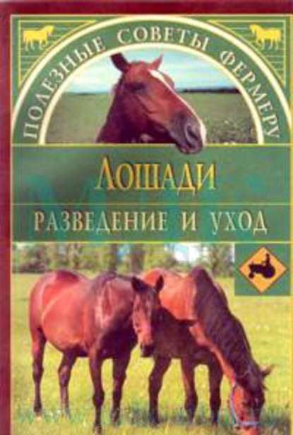 Лошади — Алексей Герасимов