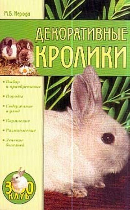 Декоративные кролики — Маргарита Нерода