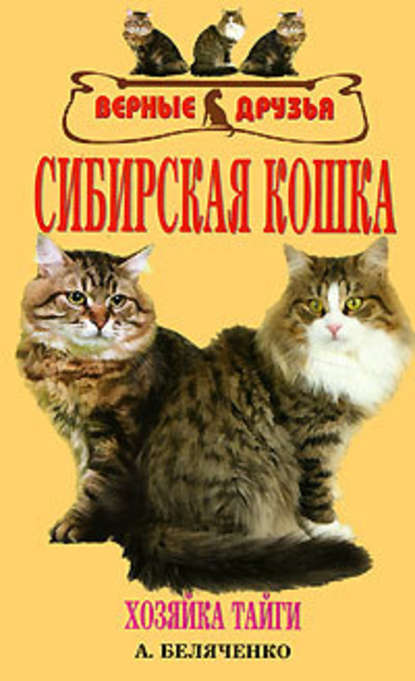 Сибирская кошка — Андрей Беляченко