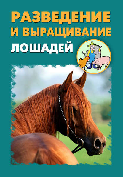 Разведение и выращивание лошадей — Илья Мельников