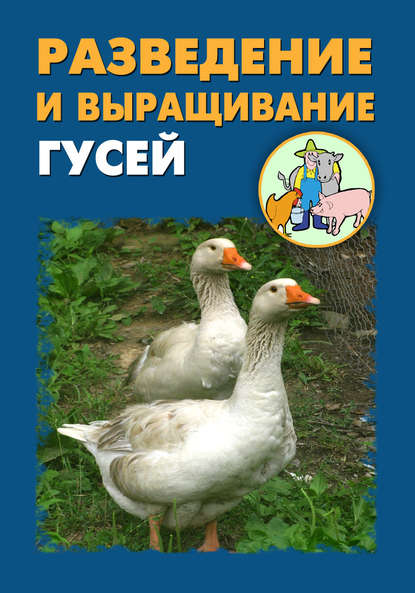 Разведение и выращивание гусей — Илья Мельников