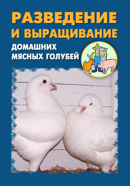 Разведение и выращивание домашних мясных голубей — Илья Мельников