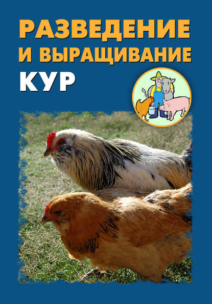 Разведение и выращивание кур — Илья Мельников