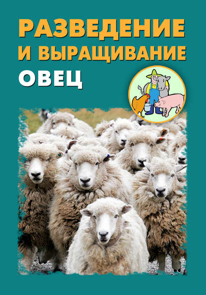 Разведение и выращивание овец — Илья Мельников