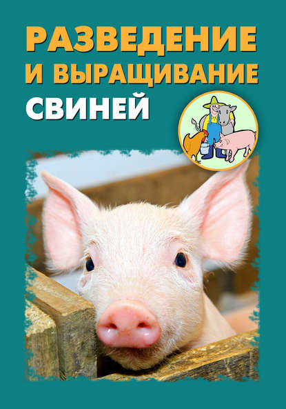 Разведение и выращивание свиней — Илья Мельников