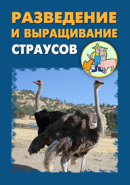 Разведение и выращивание страусов — Илья Мельников