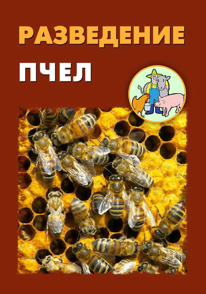 Разведение пчел — Илья Мельников