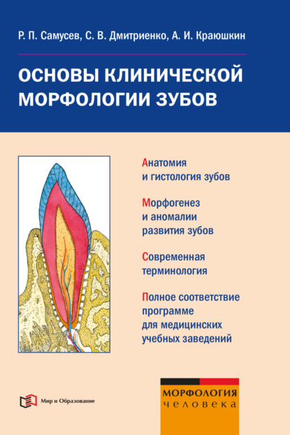 Основы клинической морфологии зубов: учебное пособие — Р. П. Самусев