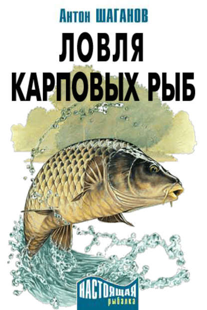 Ловля карповых рыб — Антон Шаганов