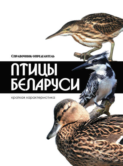 Птицы Беларуси — Владимир Адамчик