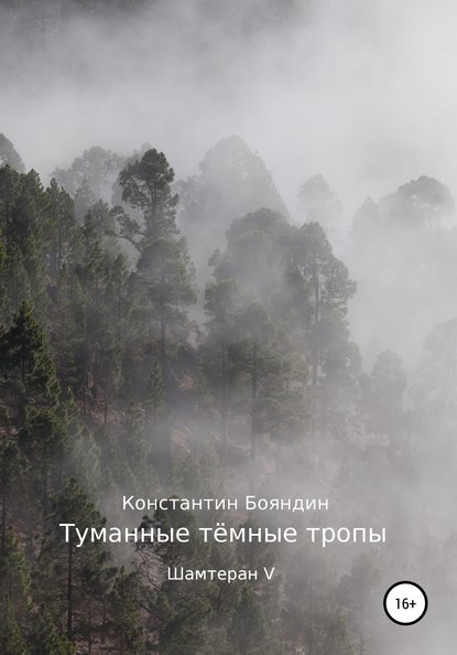 Туманные тёмные тропы — Константин Бояндин