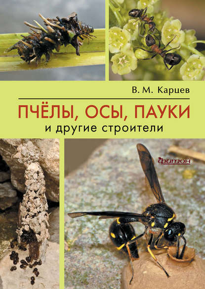 Пчёлы, осы, пауки и другие строители — Владимир Карцев