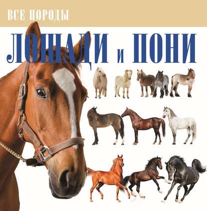 Лошади и пони — В. М. Жабцев