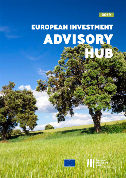 European Investment Bank Annual Report 2019 on the European Investment Advisory Hub — Группа авторов