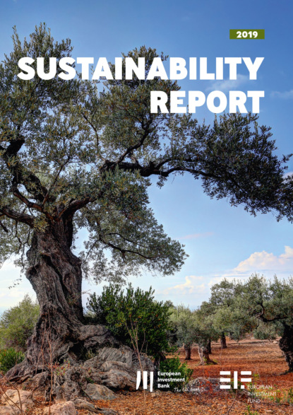 European Investment Bank Group Sustainability Report 2019 — Группа авторов