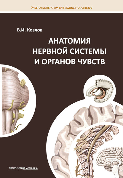 Анатомия нервной системы и органов чувств — В. И. Козлов