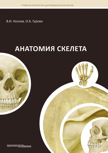 Анатомия скелета — Ольга Гурова