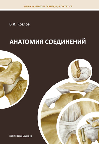 Анатомия соединений — В. И. Козлов