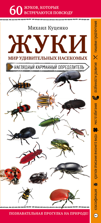 Жуки. Мир удивительных насекомых — Михаил Куценко