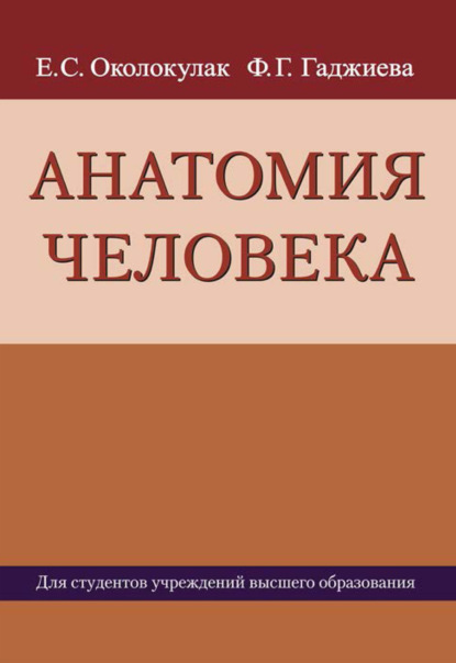 Анатомия человека — Е. С. Околокулак