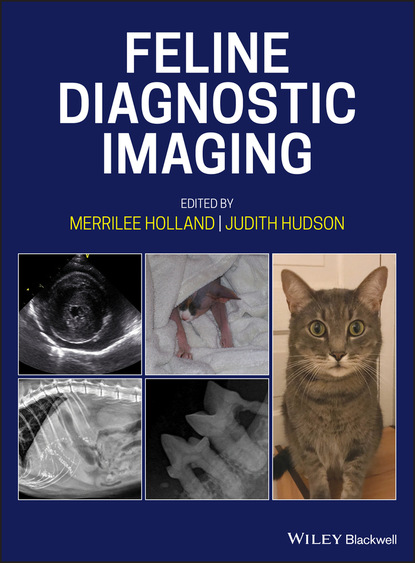 Feline Diagnostic Imaging — Группа авторов