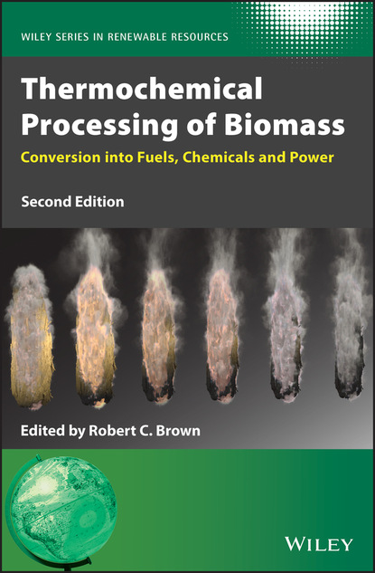 Thermochemical Processing of Biomass — Группа авторов