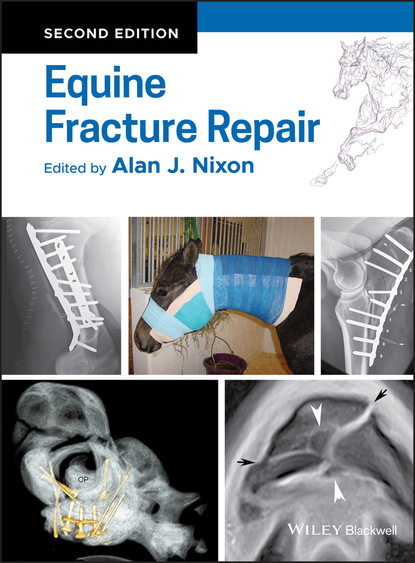 Equine Fracture Repair — Группа авторов