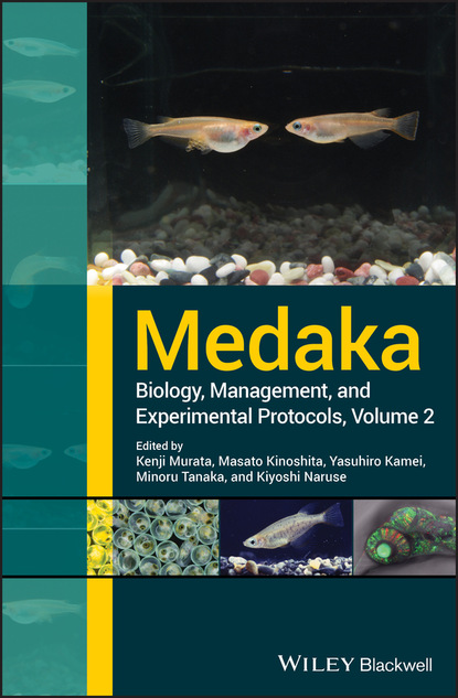 Medaka — Группа авторов
