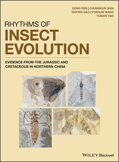 Rhythms of Insect Evolution — Группа авторов