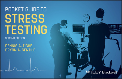 Pocket Guide to Stress Testing — Группа авторов