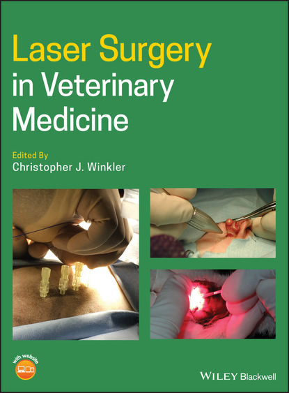Laser Surgery in Veterinary Medicine — Группа авторов