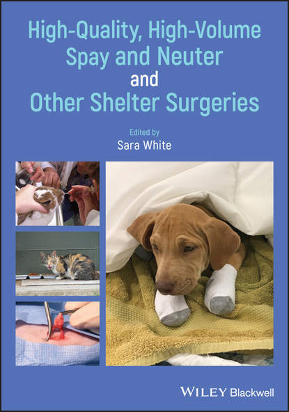 High-Quality, High-Volume Spay and Neuter and Other Shelter Surgeries — Группа авторов