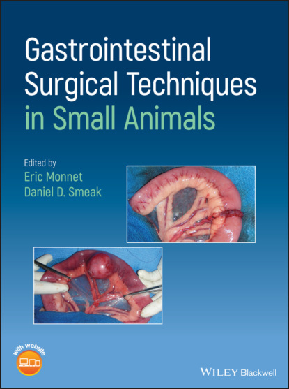 Gastrointestinal Surgical Techniques in Small Animals — Группа авторов