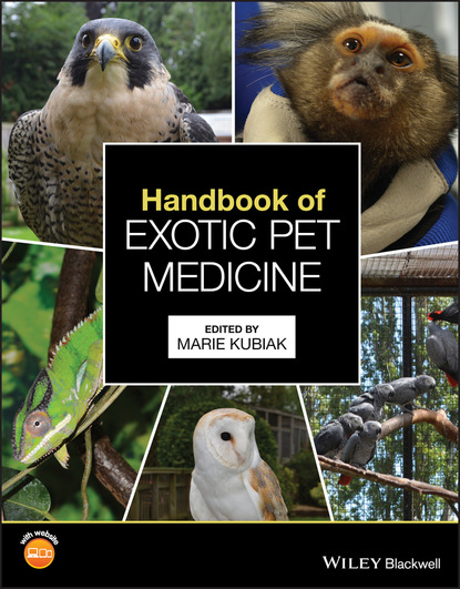 Handbook of Exotic Pet Medicine — Группа авторов