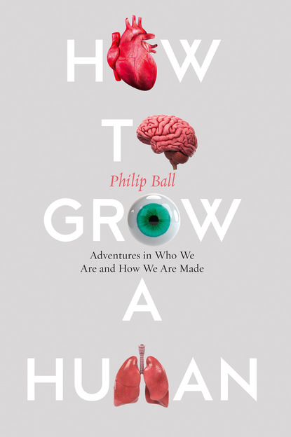 How to Grow a Human — Филип Болл