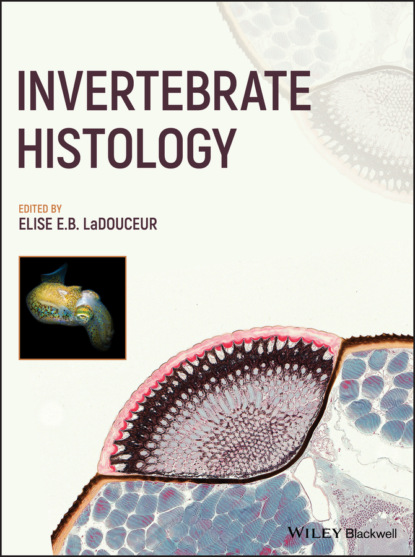 Invertebrate Histology — Группа авторов
