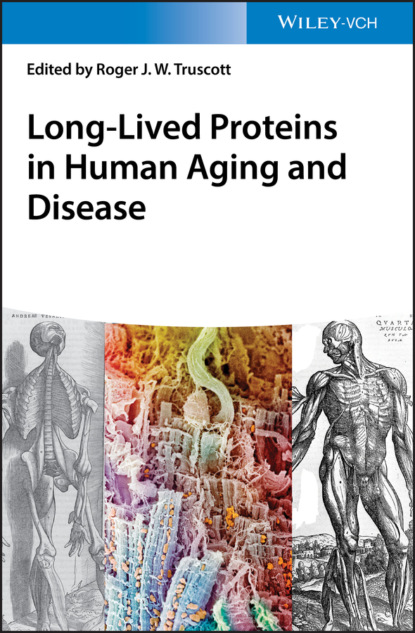Long-lived Proteins in Human Aging and Disease — Группа авторов