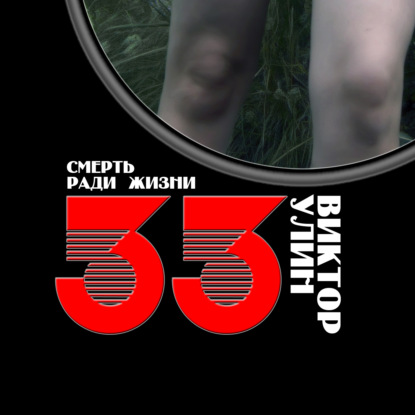 33 — Виктор Улин