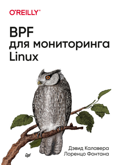 BPF для мониторинга Linux — Лоренцо Фонтана