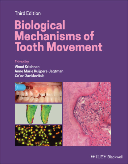 Biological Mechanisms of Tooth Movement — Группа авторов